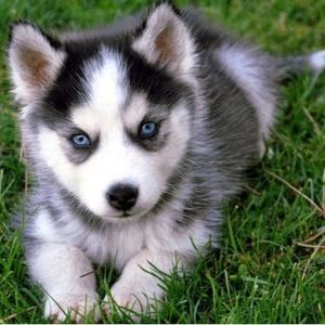 Meet your Posher, Summer